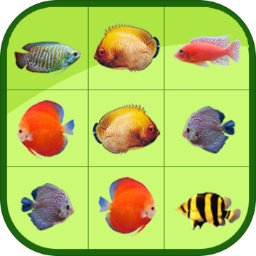 cq9电子平台app截图3